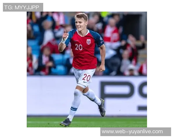 厄德高在国际赛场的崛起与影响力分析及未来发展展望 厄德高在国际赛场的崛起与影响力分析及未来发展展望