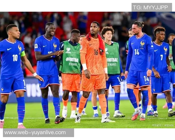 惠灵顿凤凰主场迎战中央海岸水手期待精彩对决与激烈竞争